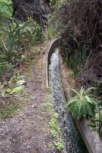Caldera de Taburiente_58