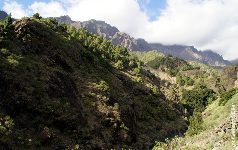 Caldera de Taburiente_59