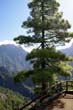 Caldera de Taburiente_15