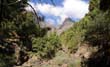 Caldera de Taburiente_21
