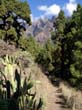 Caldera de Taburiente_25