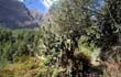 Caldera de Taburiente_30