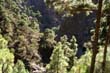 Caldera de Taburiente_38