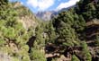Caldera de Taburiente_42