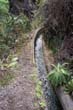 Caldera de Taburiente_58