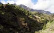 Caldera de Taburiente_59