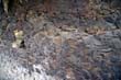 Caldera de Taburiente_62