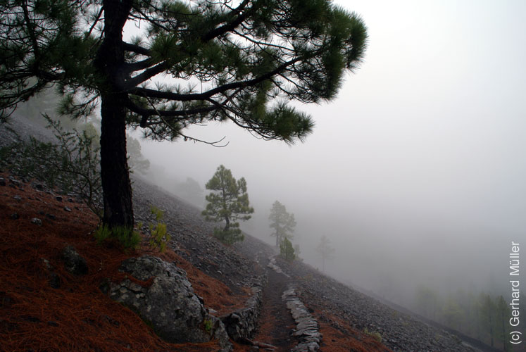 Pico Birigoyo_11
