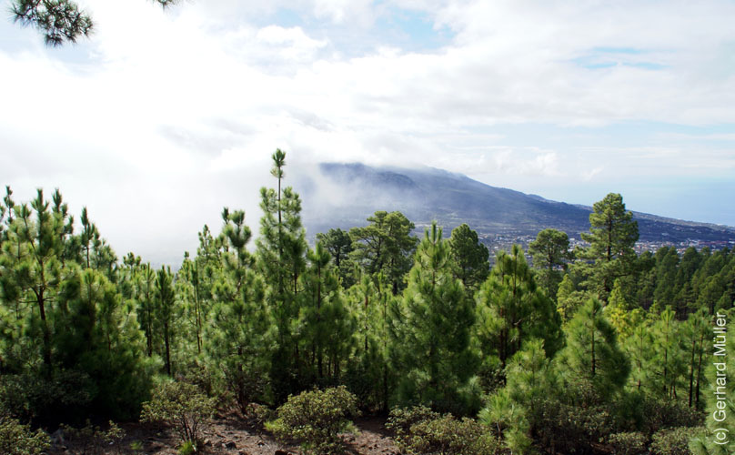 Pico Bejenado_01
