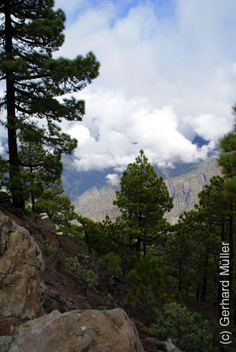Pico Bejenado_09