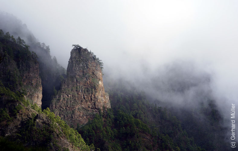 Pico Bejenado_38