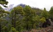 Pico Bejenado_06