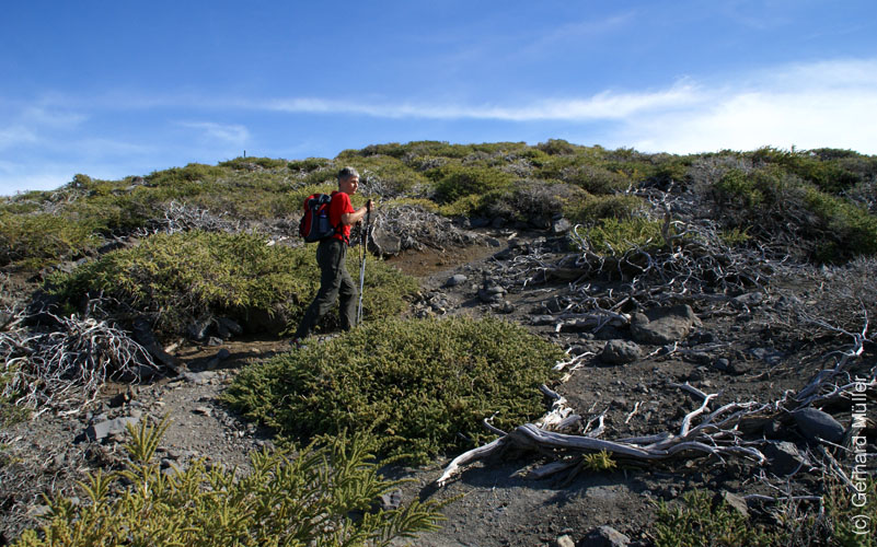 Roque Palmero_29