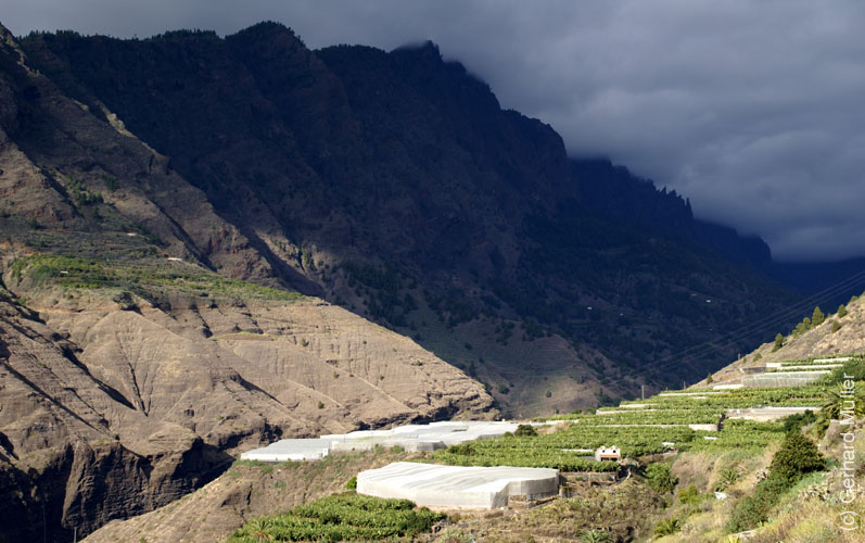 Tazacorte_48