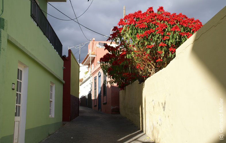 Tazacorte_57