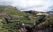 Tazacorte_26