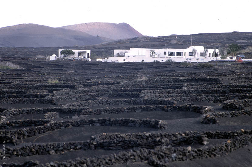 Lanzarote1992_003