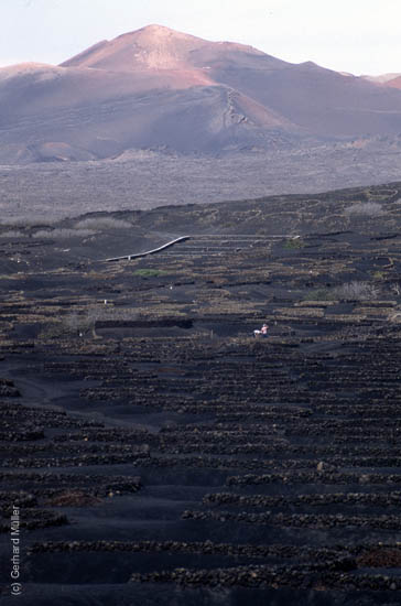 Lanzarote1992_004