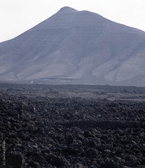Lanzarote1992_029