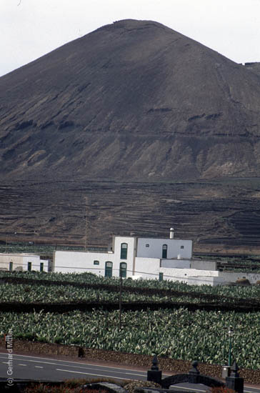 Lanzarote1992_064