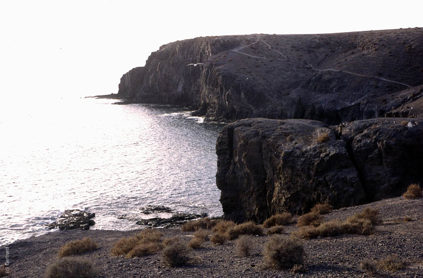 Lanzarote1992_116