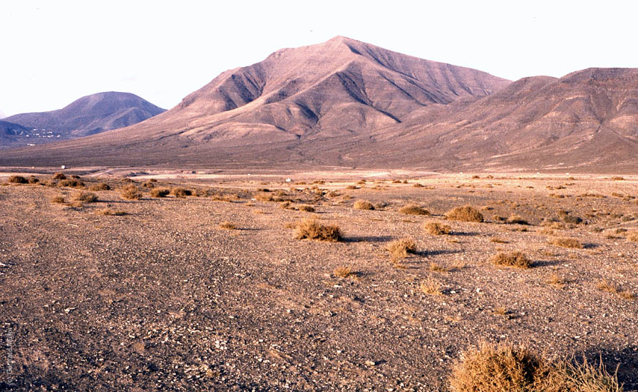Lanzarote1992_117