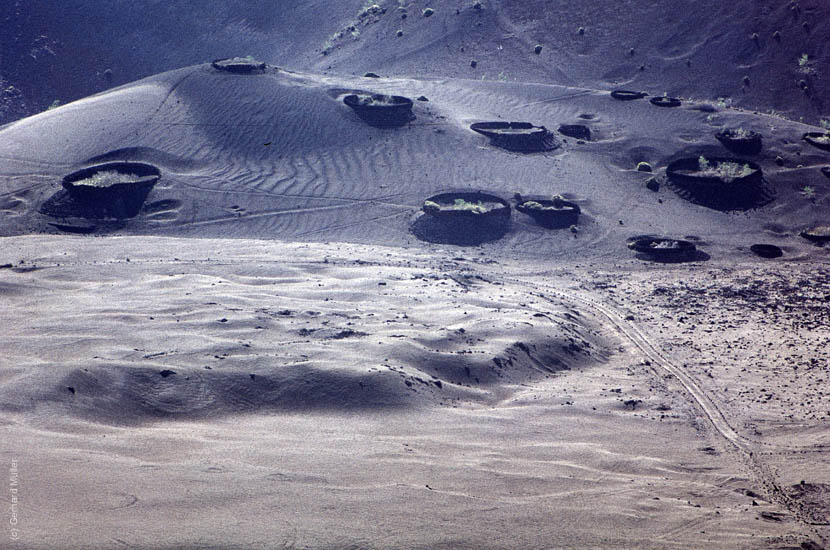 Lanzarote1992_098