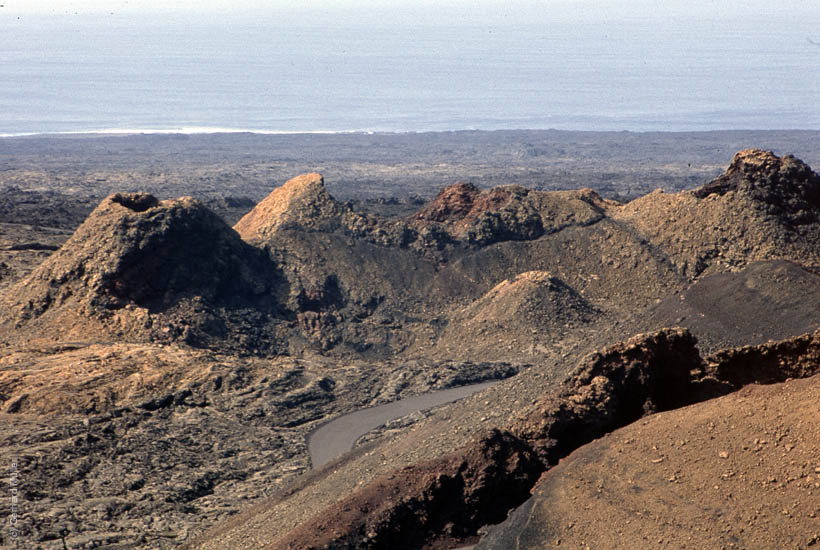 Lanzarote1992_100