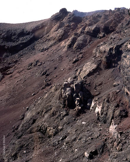 Lanzarote1992_105