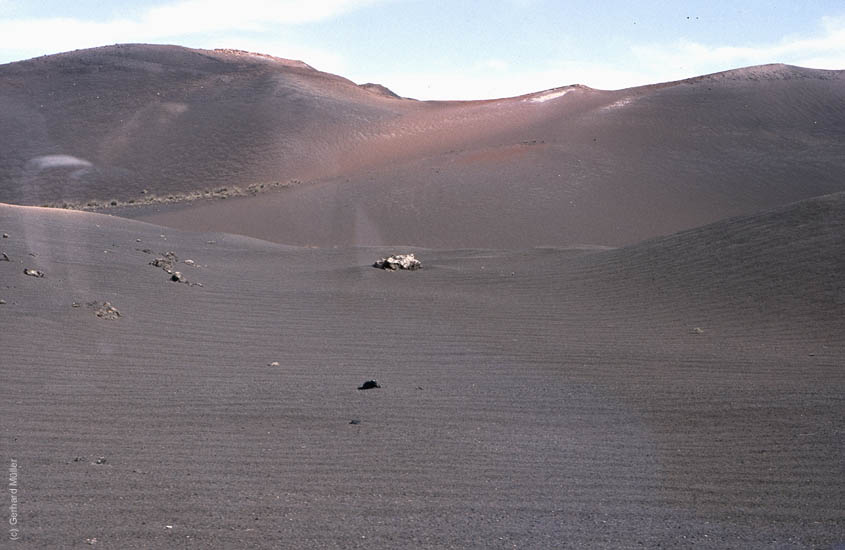 Lanzarote1992_108