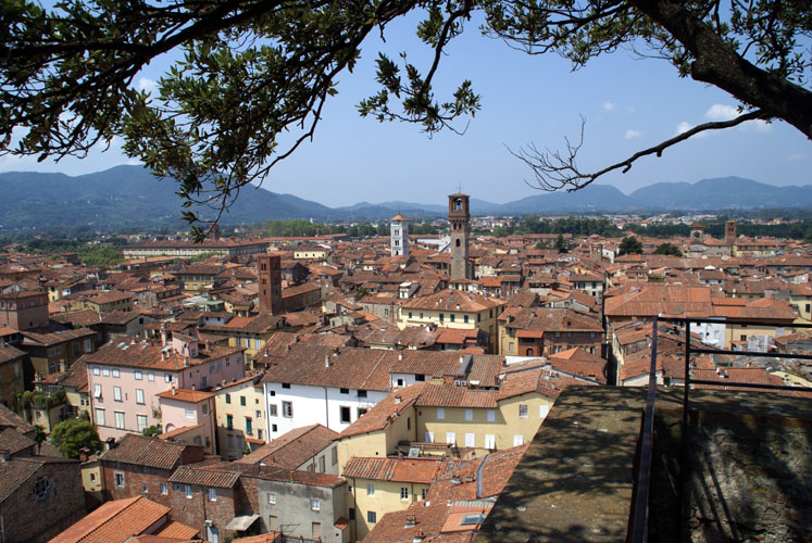 Lucca016