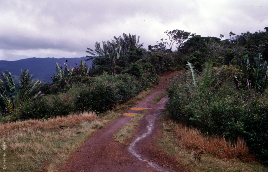 Mauritius_080