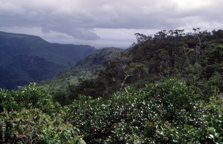 Mauritius_081