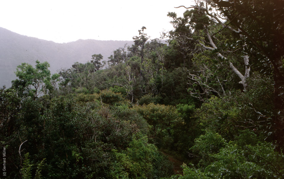 Mauritius_082