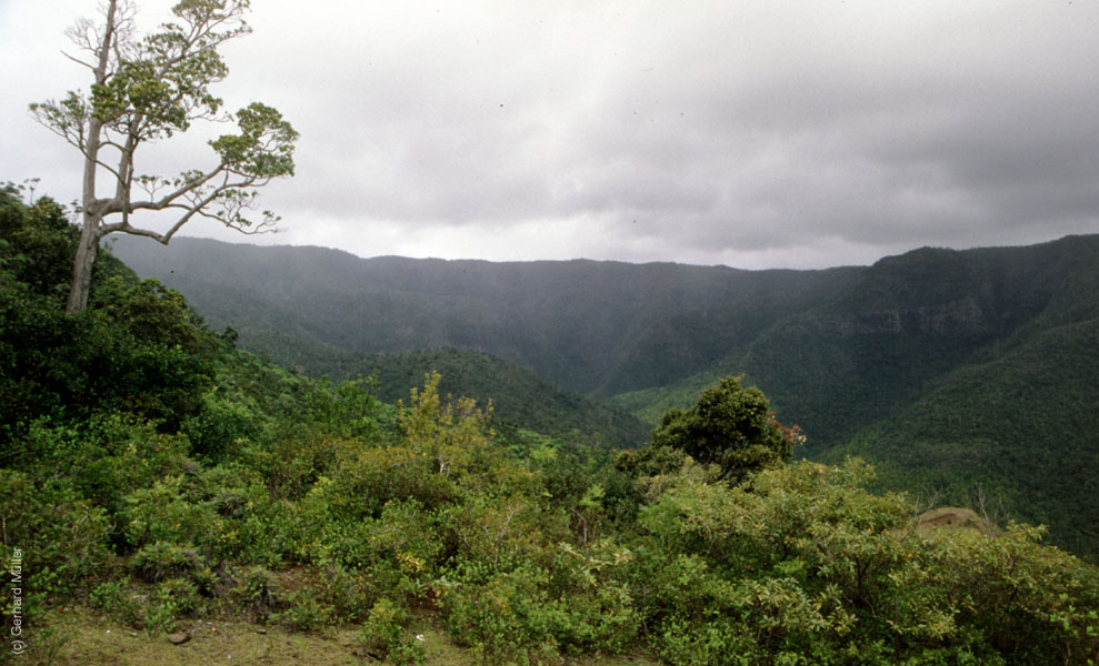 Mauritius_086