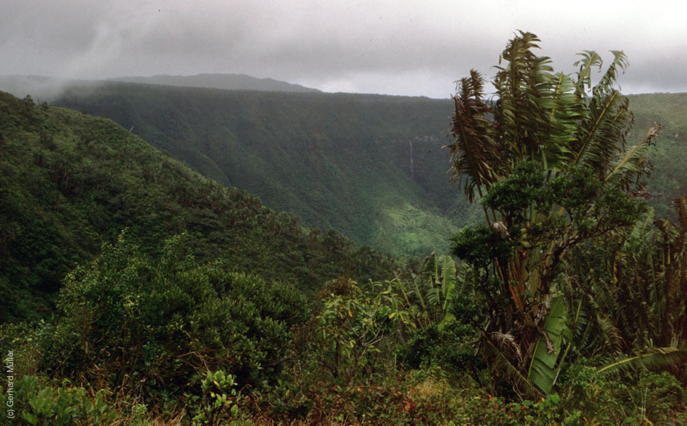 Mauritius_087