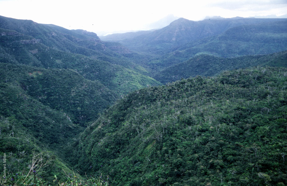 Mauritius_089