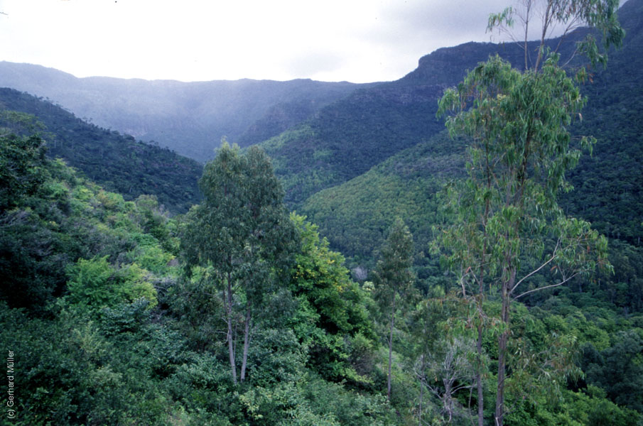 Mauritius_092