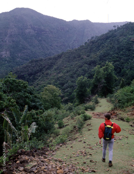 Mauritius_098
