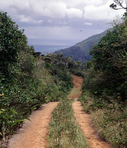 Mauritius_099