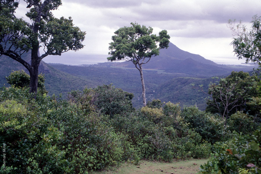 Mauritius_102