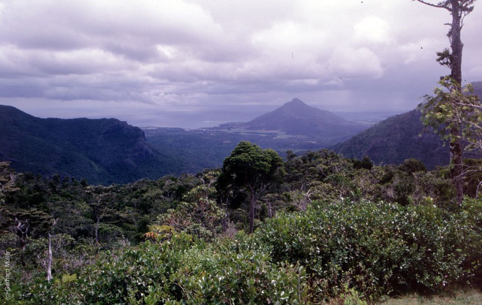 Mauritius_103