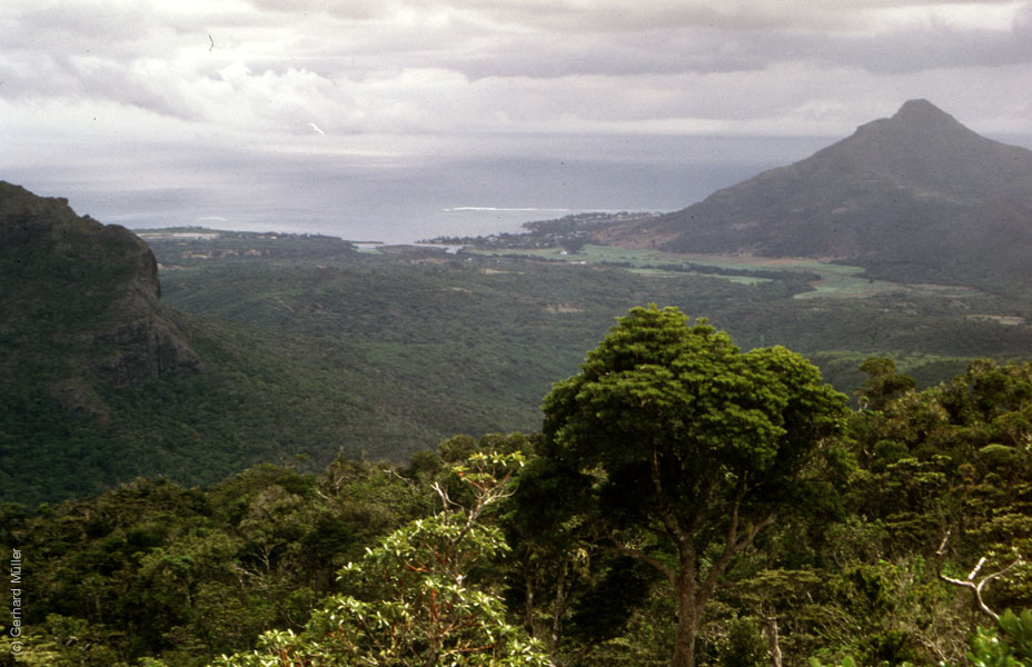 Mauritius_107
