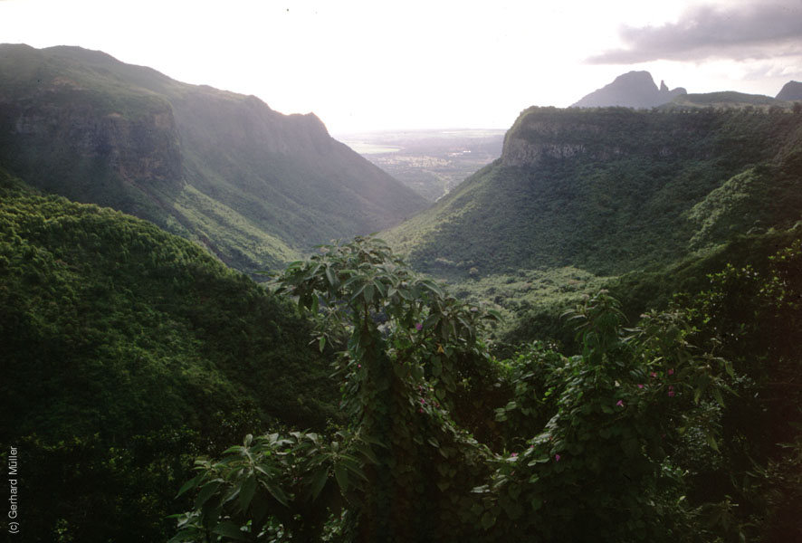 Mauritius_108