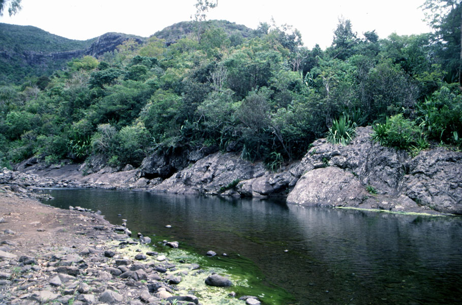 Mauritius_114