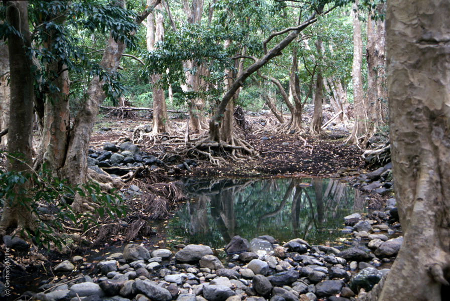 Mauritius_117