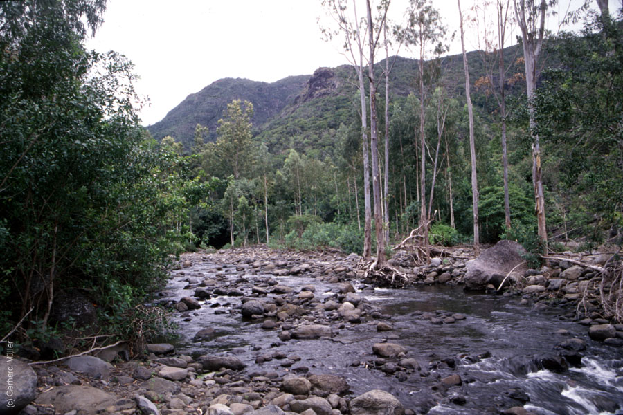 Mauritius_120