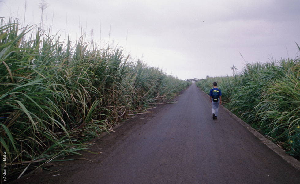 Mauritius_121