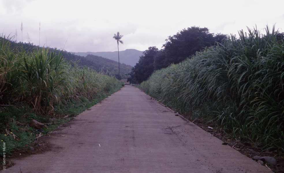Mauritius_122