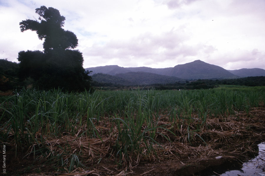 Mauritius_126